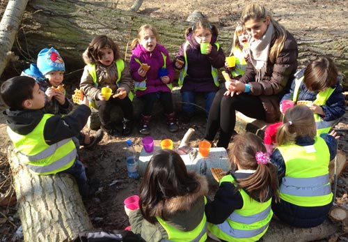 Picknick bei einem Ausflug im Wald